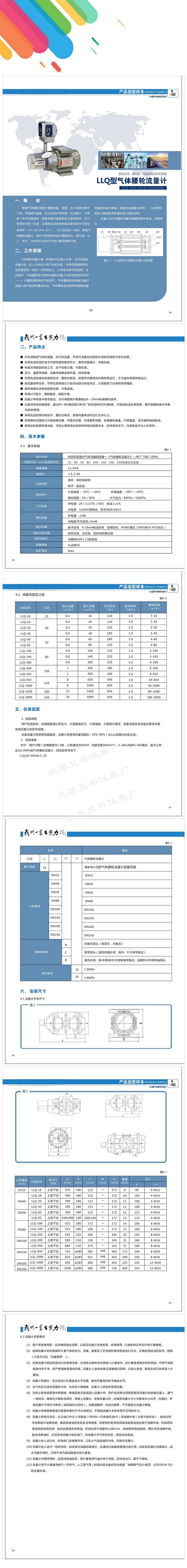 LLQ系列气体腰轮流量计生产厂家-江苏兄弟仪表厂